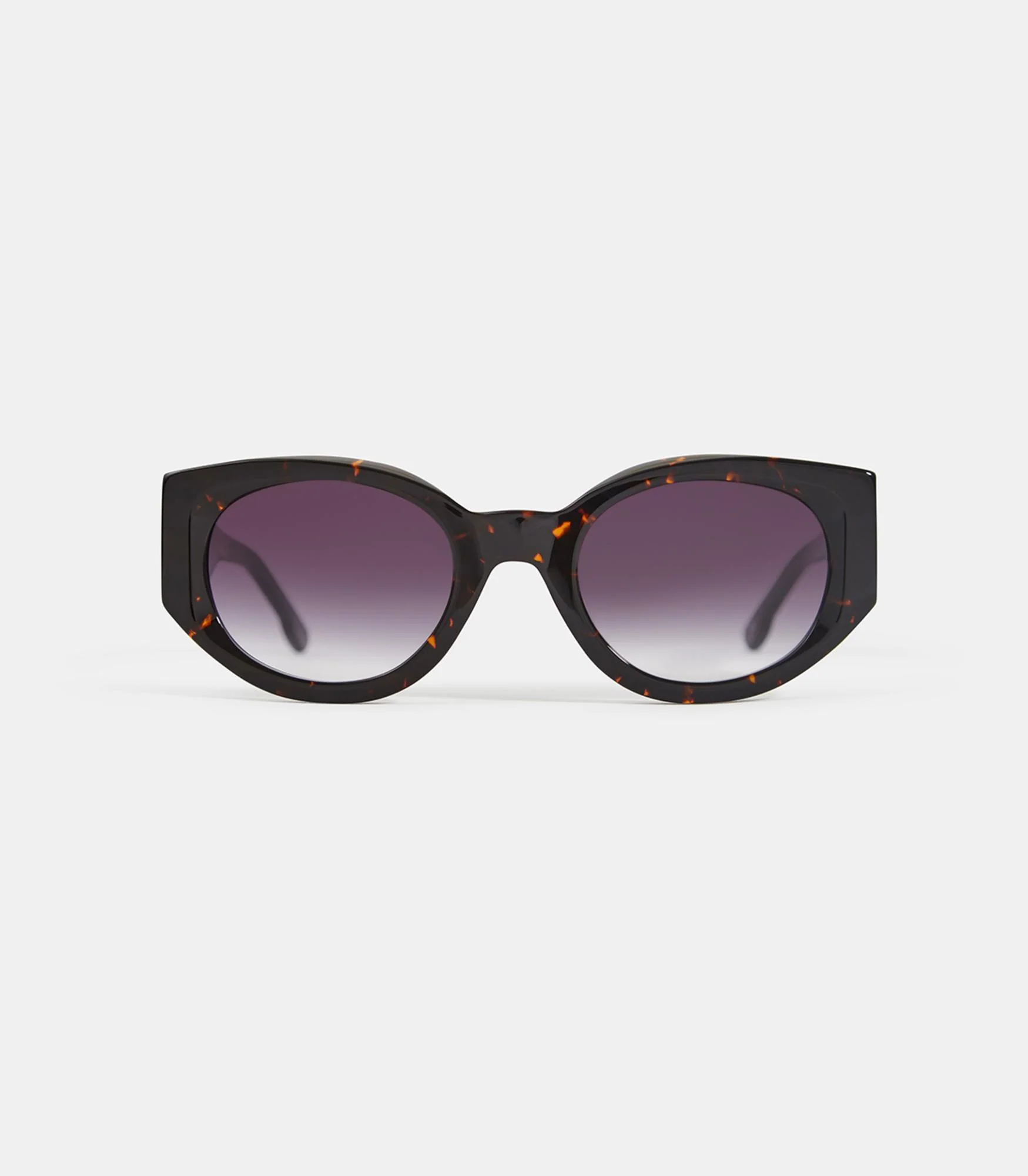 Harry - Image 4